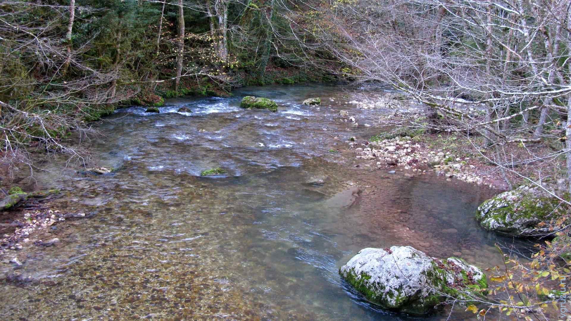 какая рыба водится в куре грузия. Смотреть фото какая рыба водится в куре грузия. Смотреть картинку какая рыба водится в куре грузия. Картинка про какая рыба водится в куре грузия. Фото какая рыба водится в куре грузия