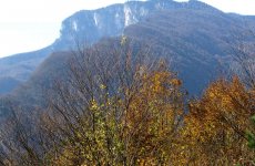 Рача-Лечхуми